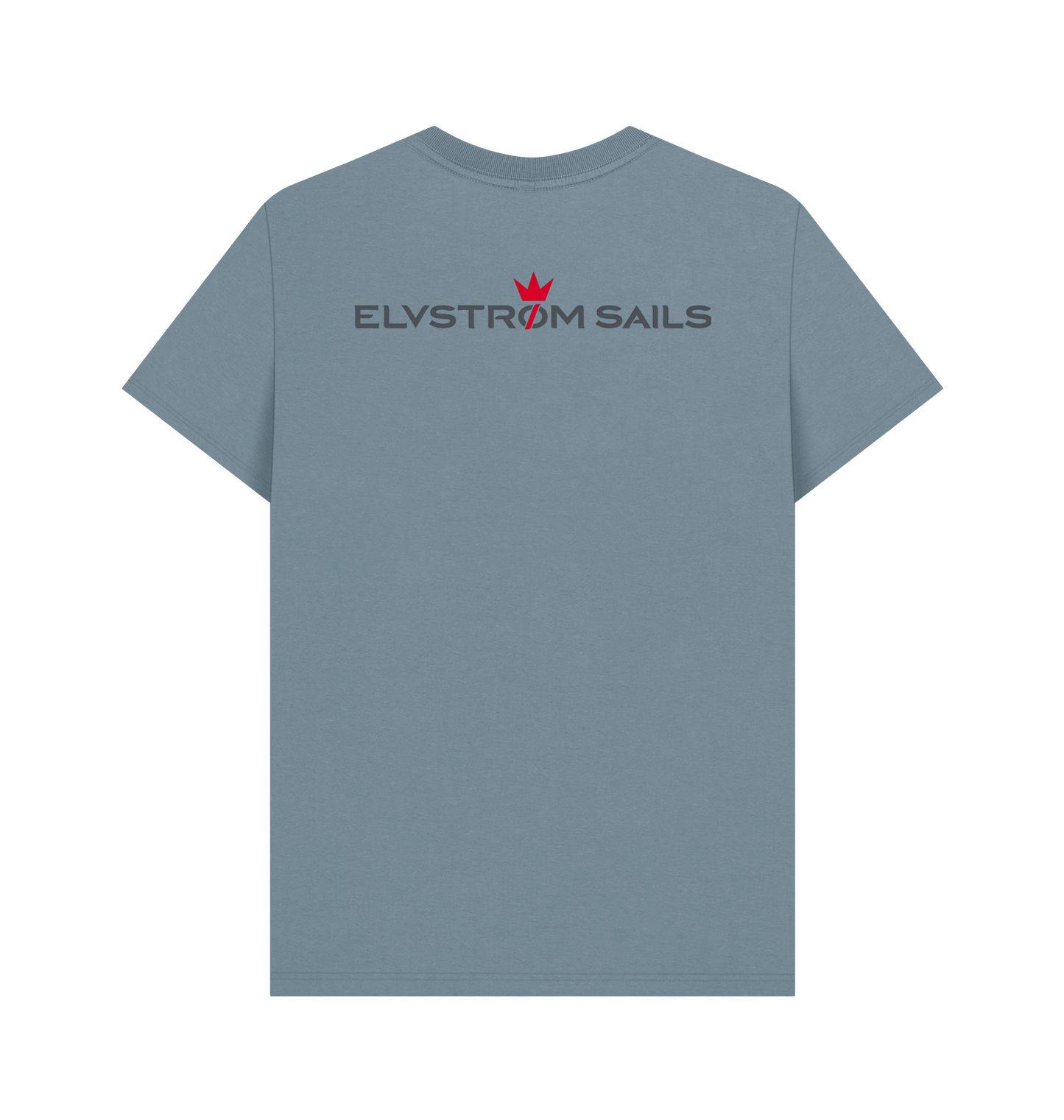 Stone Blue Printed T-shirt Back