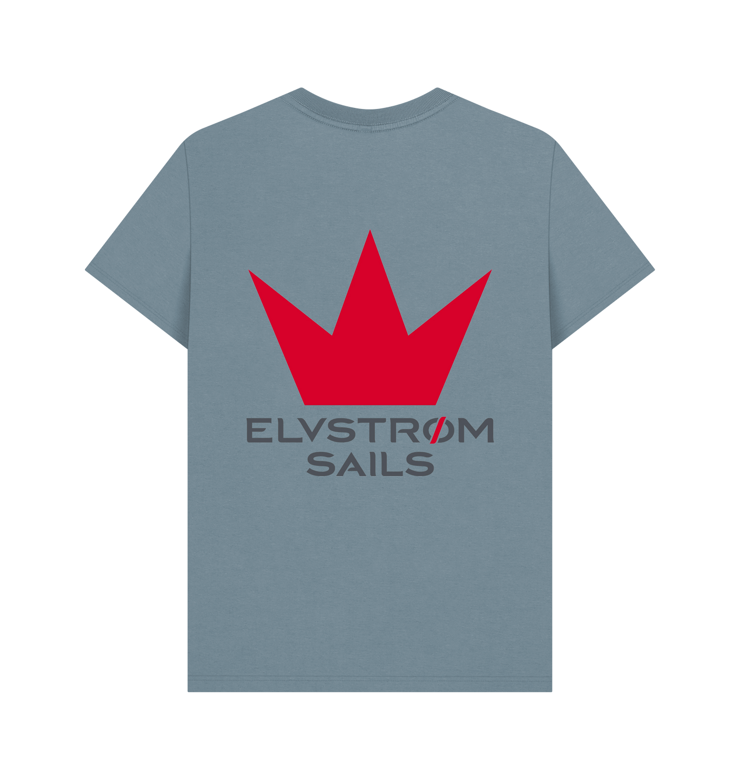 Stone Blue Printed T-shirt Back